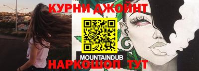 гашик Дубна