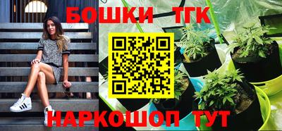 гашик Дубна