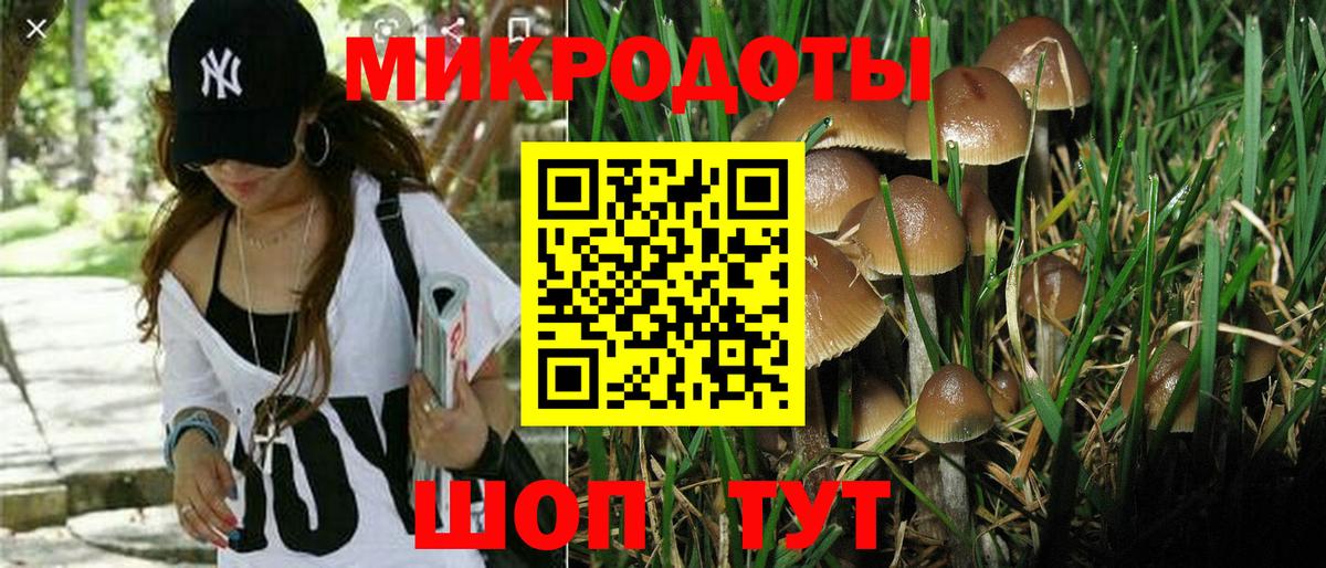 Псилоцибиновые грибы MAGIC MUSHROOMS Коркино