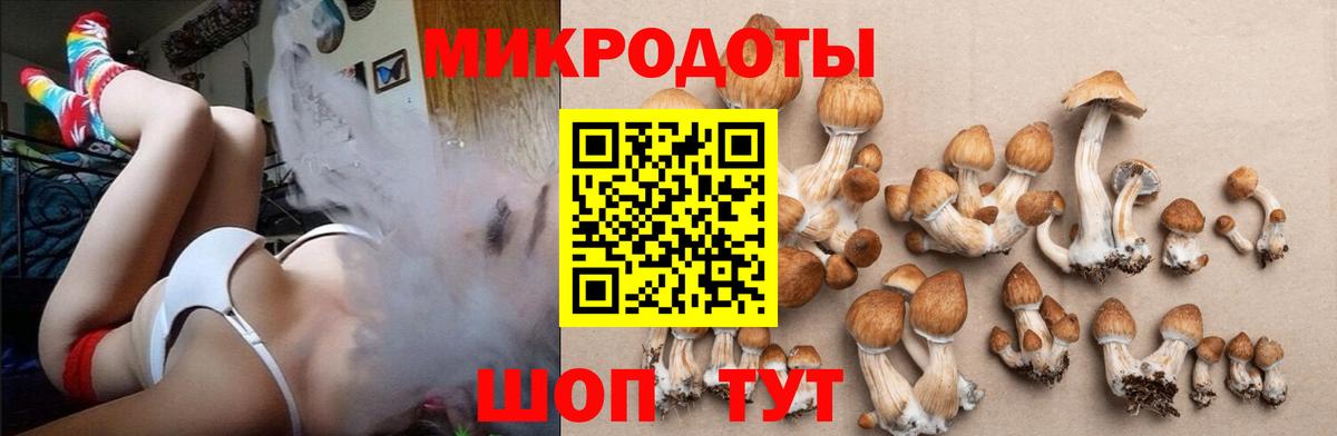 Коркино  Галлюциногенные грибы ЛСД  Вход с VPN 